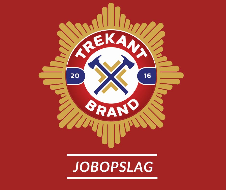 Vi søger en chefkonsulent med stærke økonomiske kompetencer